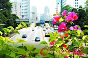 �|�L·��һ������ϵ��r���_�àN����