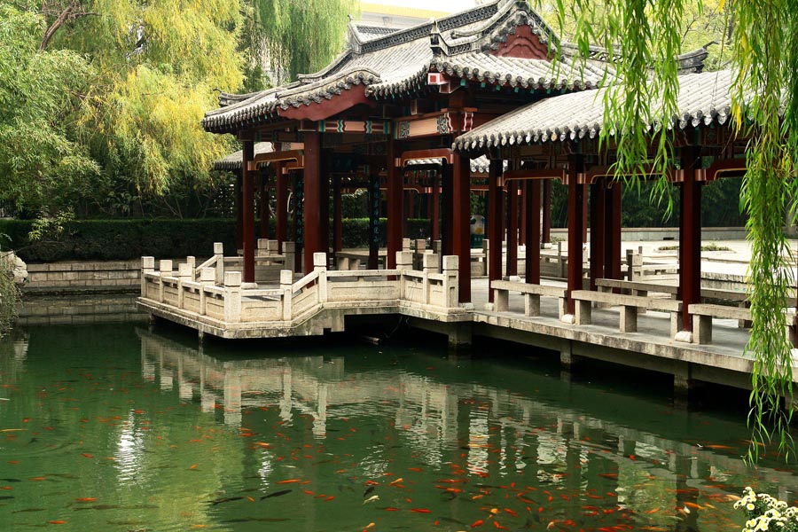 ����̶���@