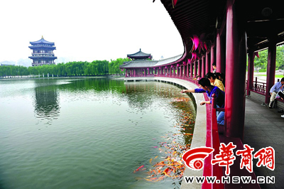 �l�Ѵ���ܽ�؈@���ᡱ���ˌ����`��(�D)