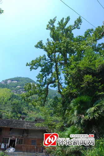 �ѻ������֬Fϡ�йŰ���� �ܡ��A�y���ճɺÉ�