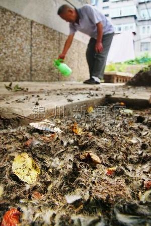 �\�ݣ������x���(zh��n)����һ�ܡ��@�֡�����(zh��n)���K�Y(ji��)��