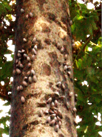 ����������ϳ�����(sh��) ���Ĳ���Ҋ(ji��n)