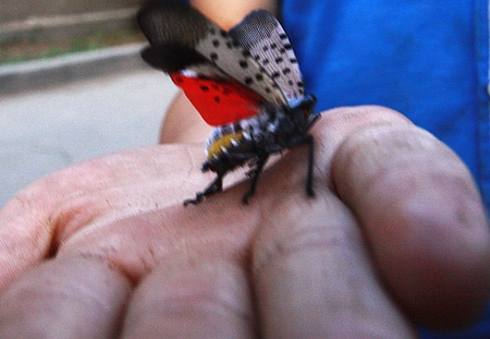 ����������ϳ�����(sh��) ���Ĳ���Ҋ(ji��n)