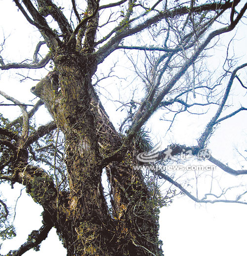 ����������������؜�u�@����