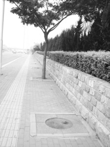 ���B��138��ܽ�ؘ仼��Ⱦ���������������D��