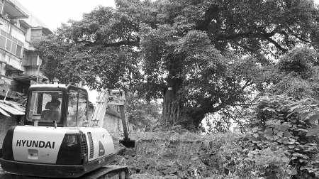 �ھ�C���_ʼ�Ř�����ǰ�Ĝʂ乤��