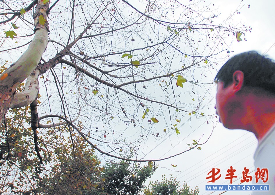 ���u���������е��ɺ����^ ·߅��ľ���öd���