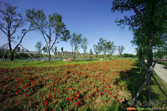 花海藍天宜人景