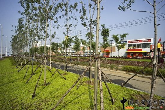 充滿生活氣息的道路種植