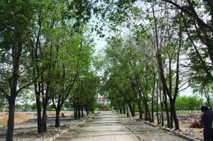 �������õĘ��