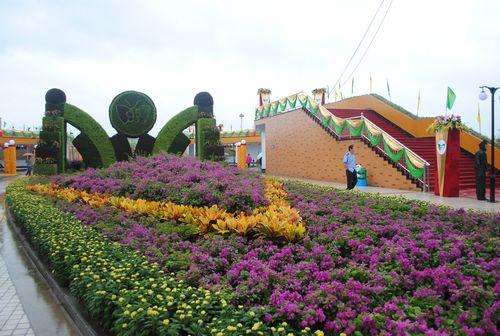 ��ʮ����ԭ��ľ���ײ��[���F(xi��n)��