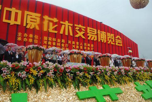 ��ʮ����ԭ��ľ���ײ��[���F(xi��n)��