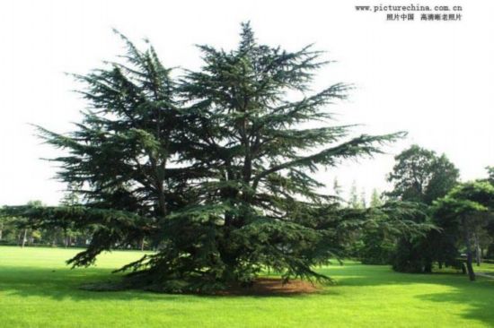 釣魚(yú)臺(tái)國(guó)賓館