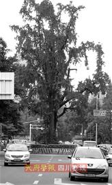 �ɶ������@��վ��100���� ��������������