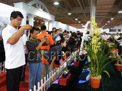 19�����Һ͵؅^�����F�m������ɽ�|̩ɽ