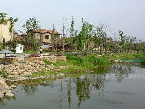 �D3��ˮ��ֲ�ʯ����(sh��)���ЙC(j��)�^(gu��)��