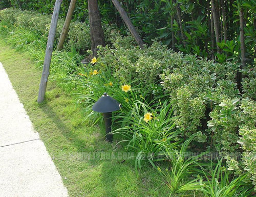 �D4���G�h�֌ӷNֲ