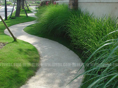 �D5���m��ʥ����â���߅�Ĳ��е�