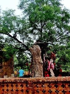 �ĳǣ�������(sh��)֦����ǧ��Ż� ��������������