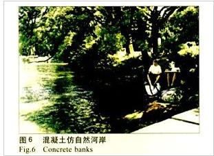 混凝土仿自然河岸