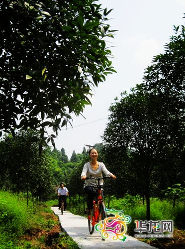 �~�����׌ý�����p����17���_(k��i)Ļ