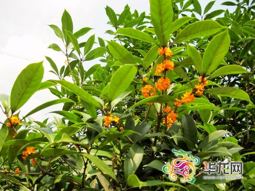 �~�����׌ý�����p����17���_(k��i)Ļ