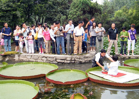 ����ֲ��@����ɏ��ʢ�_