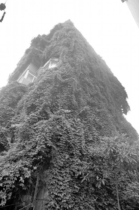 �ɶ���С�^(q��)��ɽ��һ�������� ���¡����ڽ�ɽ��