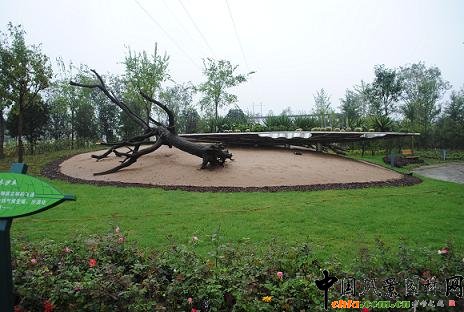 �ڶ����Ї��G������������չ�@���ȿ�