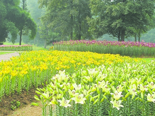 �ɶ���ʯ����ٺϻ����ι������_Ļ