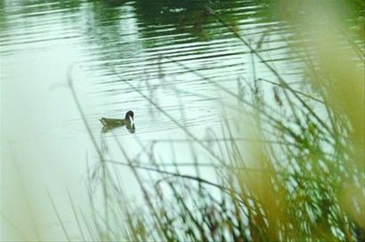 �󞩹��@����Ұ���B�16�N 