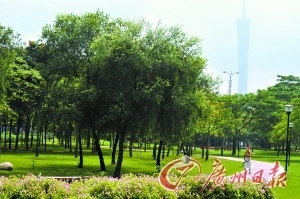 �V���傀�½����@���\ǰ�_��