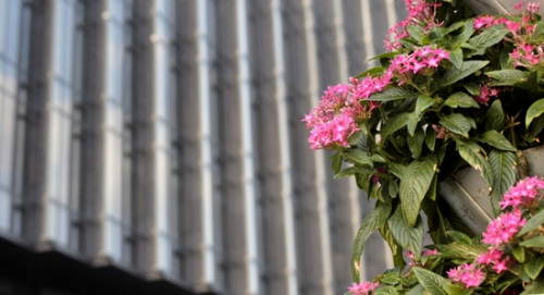 �Ϻ��������@ӭ���c����tɫֲ����й��՚��