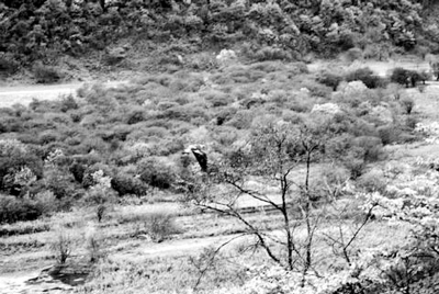 ֲ��Ҳ�б��y����������ֲ��@����@�F�F��