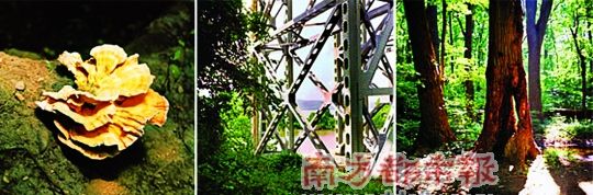 �c�����´��ڞg�[�DƬ