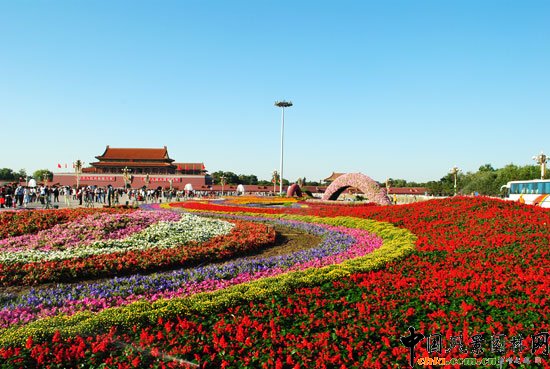 �찲�T�V�������[�Ź��̽Y�� ���}�����_ʢ����