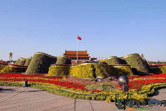 �찲�T�V�������[�Ź��̽Y�� ���}�����_ʢ����