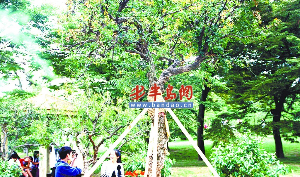 ���u���@����������ʽ�_Ļ �M��ʯ���ѱ���ժ�⣨�D��