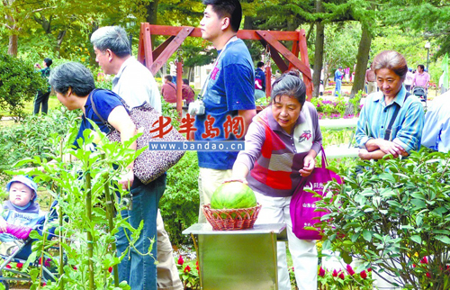 ���u��ɽ���@���_�@ �����ο���ͻ��8�f��