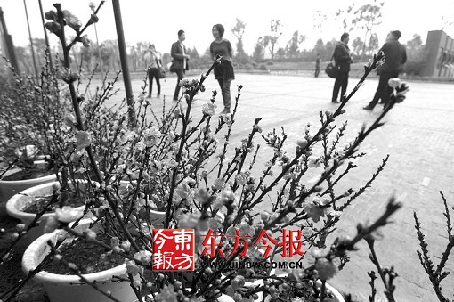 �۽��ڶ��þG���� ������ 30Ԫ�ܹ�����ݾG���@