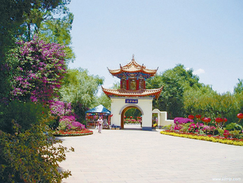 ʮһ�L(zh��ng)�� ������󹫈@��ʢ�硱����