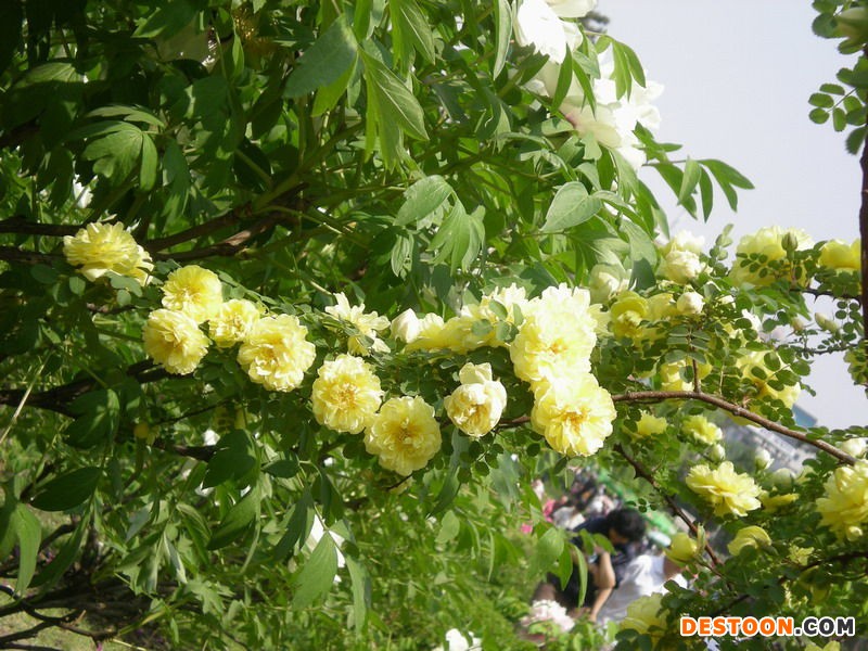 �Nޱ�B�o��������