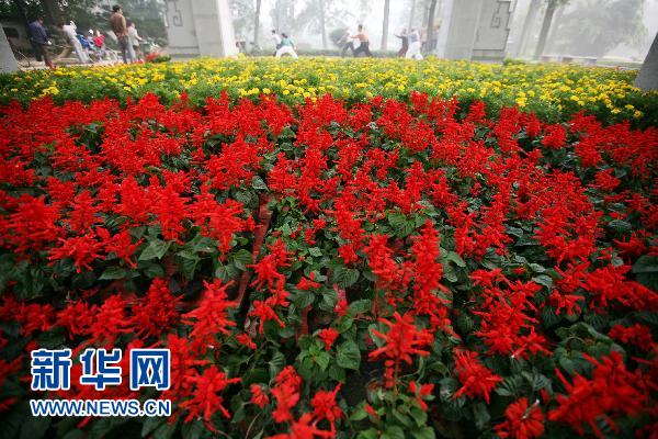 �Ͼ���������@