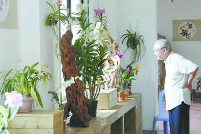 �B�T���󹫈@���^�Ƴ�ϵ�о��ʻ�� 