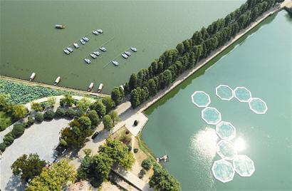 �D�ģ�����h��׃��