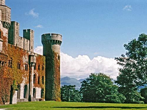 ����÷�����