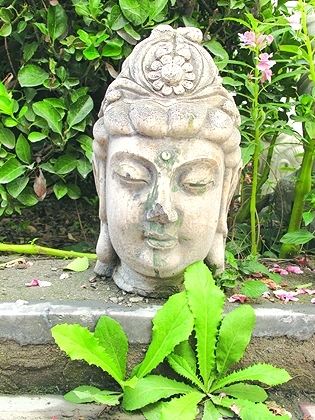 ��������ꖵ����aֵ�_30�|���M�D�� 