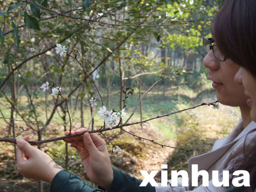 ��h���|���ш@ʮ�ѻ��`�ţ��D��