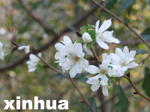 ��h���|���ш@ʮ�ѻ��`�ţ��D��