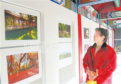 �y�������ܺ��ǈ@���������D��